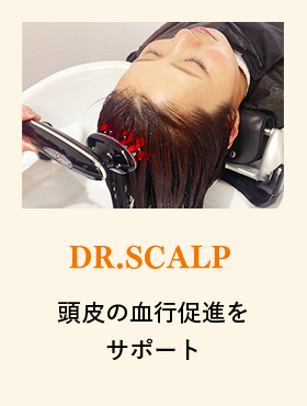 DR.SCALP 頭皮の血行促進を サポート